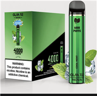 Cool Mint Glamee Nova Disposable MOQ 10pc 4000 Puffs 16mL