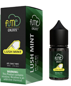 FUME Salt Lush Mint 30ml E-Juice