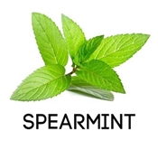 Spearmint E-Liquid by Hangsen